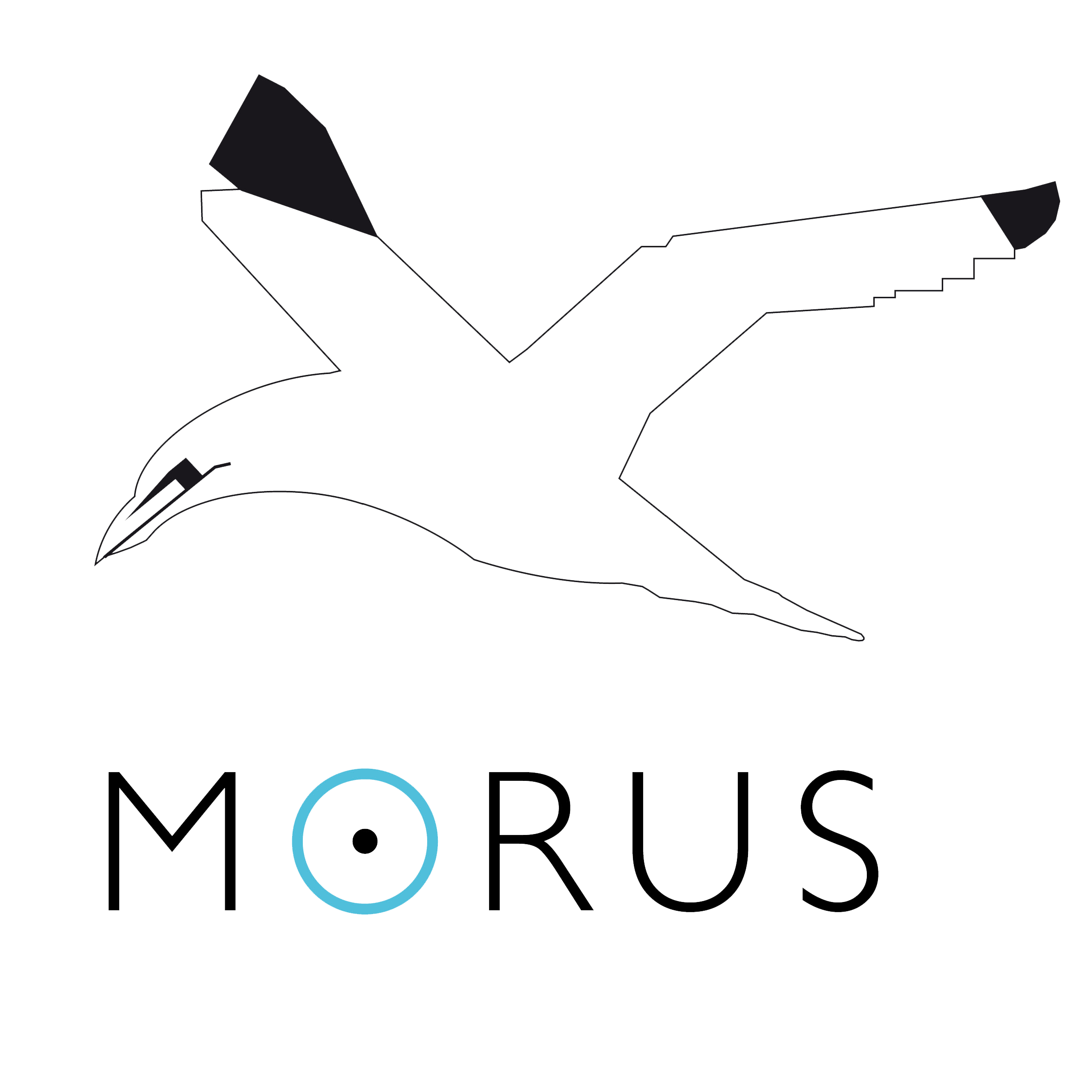 Morus B.V. logo
